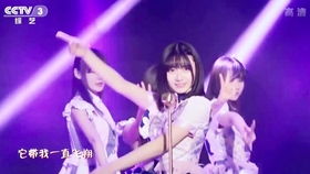 (snh48无尽旋转现场版)探索无尽的世界SNH48：少女们的梦想与奋斗之旅